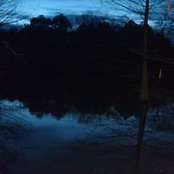 Foto von Shannon Morris