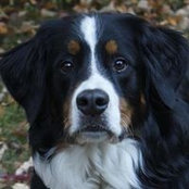 Foto von Janet Longhurst