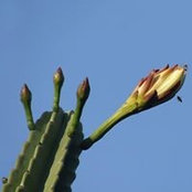 Foto de Adriane Jach