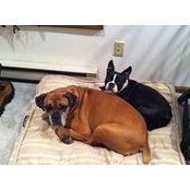 Sharon Brogan's photo