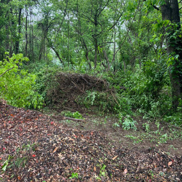 Complete Outdoor Property Improvement and Tree Service