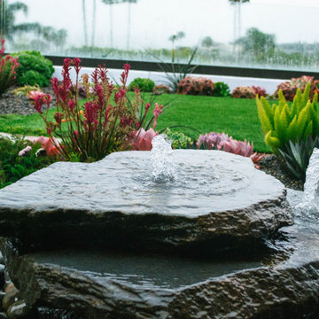 Laguna Niguel Succulent Garden