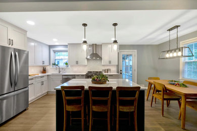 Example of a kitchen design in DC Metro