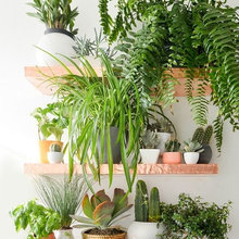 Simple, spontaneous, Eco-elegance.