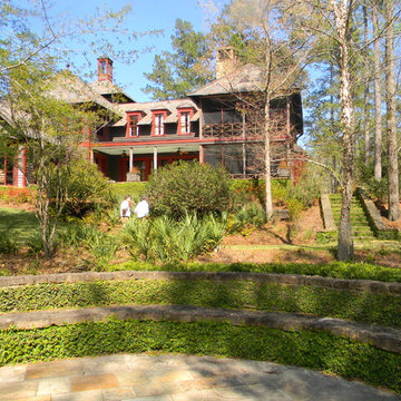 Longleaf