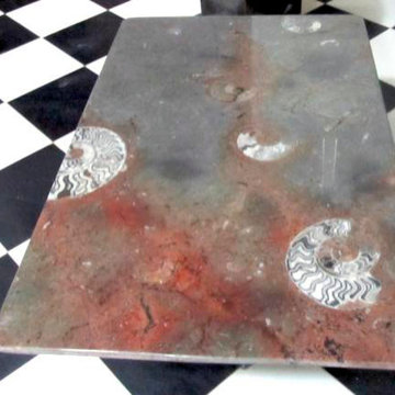 Fossil Marble Table Tops