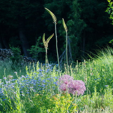 Gartengestaltung