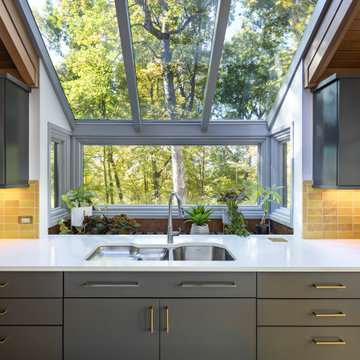 Mid-Century Modern Kitchen With a View