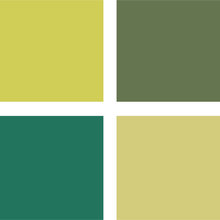 color palletes