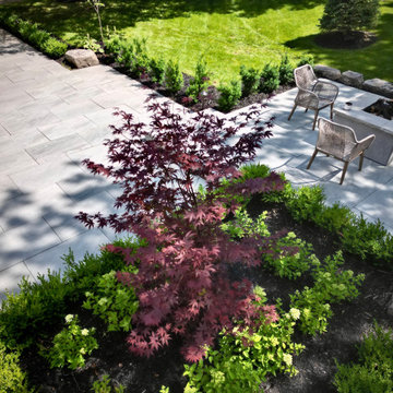 Front Patio Approach with Tree Canopy