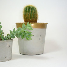 francisca_lozada's ideas