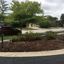 Landscaping Ideas