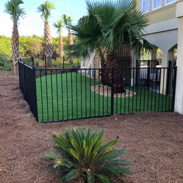 Dog Oasis