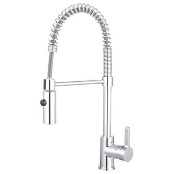 Dowell 8002/006 Series Single Handle Kitchen Faucet/Sprayer - Chrome