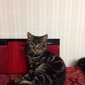 Eileen Nagaishi's photo