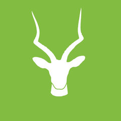 Antelope Design