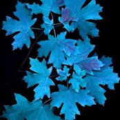 Margot Rushton's photo