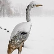 Shawn Rockwood's photo