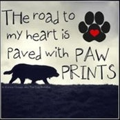 Janifer Cramp's photo
