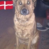 Helle Hansen's photo