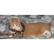 Katherine Mier's photo