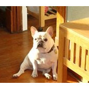 Kim Tallman's photo