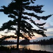 William Scott's photo