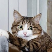 Natalie Bercovitz's photo