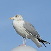 Foto von Stefan Gerlach