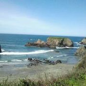 Judi Browning's photo