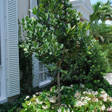 Rood Landscape Projects