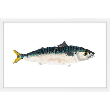 "Pacific Mackerel" Framed Painting Print, 30"x20"