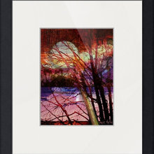 Elegant Trees