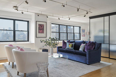 Example of a trendy living room design in New York