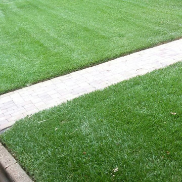 Our Work