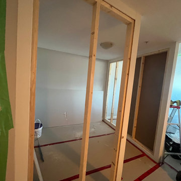 Glass wall removal/ Barn door install