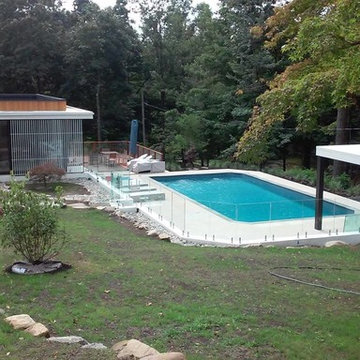 Glass pool fences