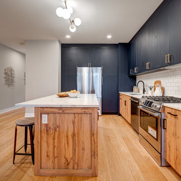 2448 W Diversey - New Construction Development