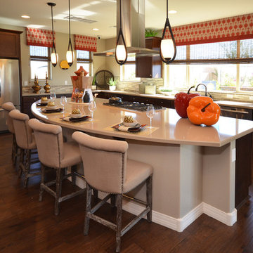 Desert Intrigue @ Vistancia | Peoria, AZ | 4094 Entice Plan