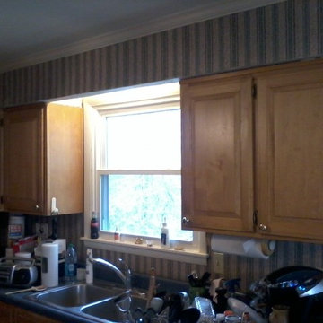Judy and Doug house reno