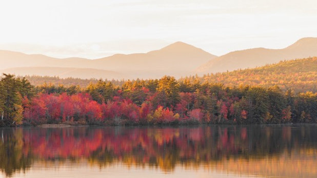 Houzz TV: Drone Video of Fall Leaves in New England Will Lift Your Soul