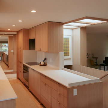 Begun/Weissman Remodel