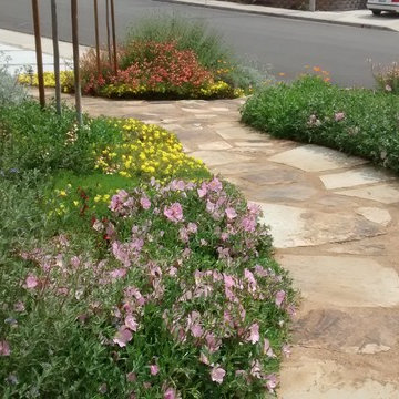 Mission Viejo Habitat Front Yard