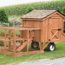 Chickens