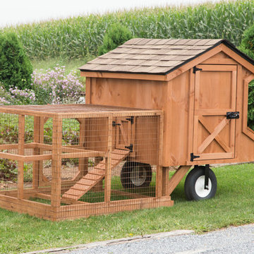 Chicken Coop