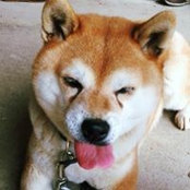 Foto von Nami Osaki