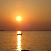 Dana Alwine's photo