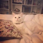 Turan Feizula's photo