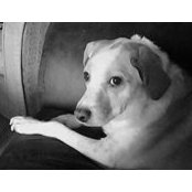 Liza Pate's photo