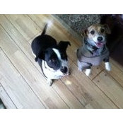 Nancy Black's photo